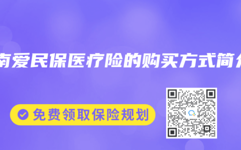 湖南爱民保医疗险的购买方式简介