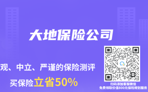 大地保险公司