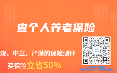 查个人养老保险