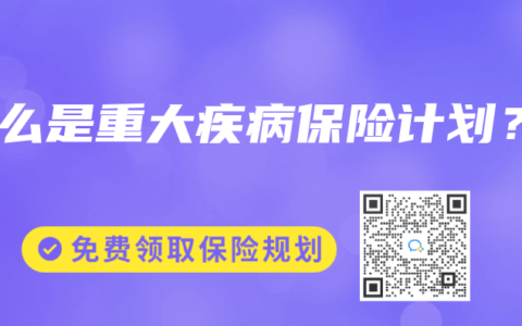 什么是重大疾病保险计划？