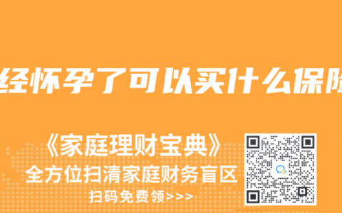 已经怀孕了可以买什么保险