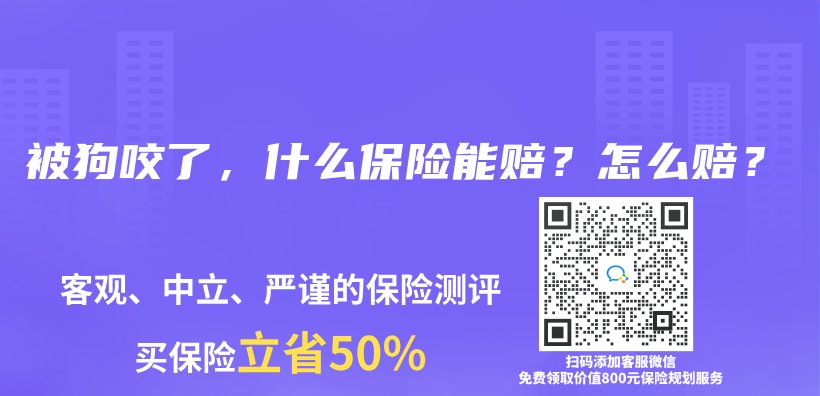 被狗咬了，什么保险能赔？怎么赔？插图
