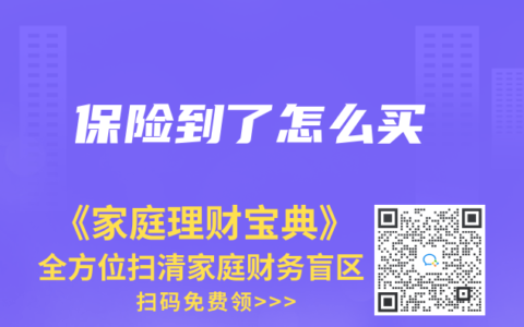 保险到了怎么买