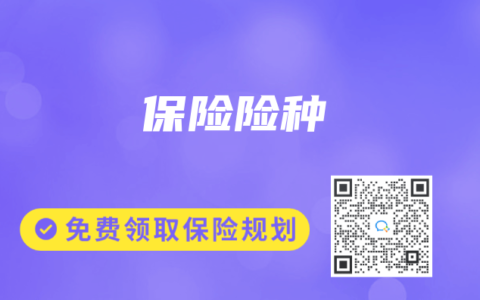保险险种