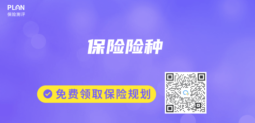 保险险种插图
