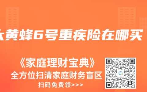 大黄蜂6号重疾险在哪买