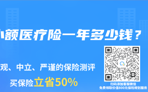 小额医疗险一年多少钱？