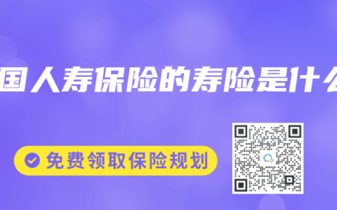 中国人寿保险的寿险是什么