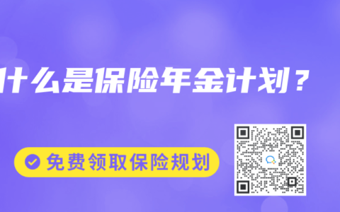 什么是保险年金计划？