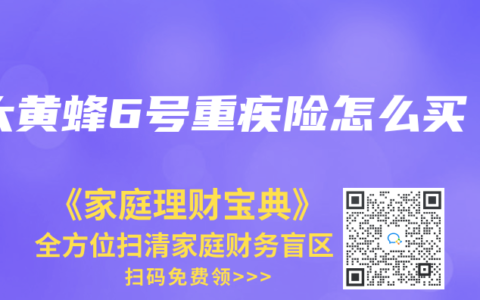 大黄蜂6号重疾险怎么买