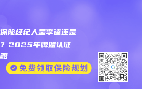 网上保险经纪人是李逵还是李鬼？2025年牌照认证全攻略