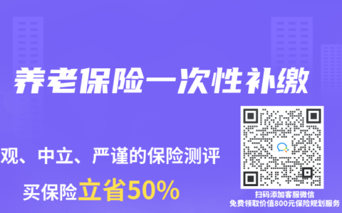 养老保险一次性补缴
