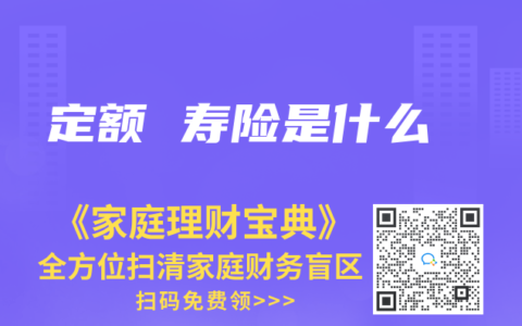 定额 寿险是什么