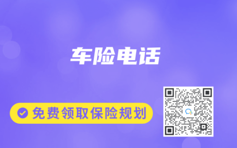 车险电话
