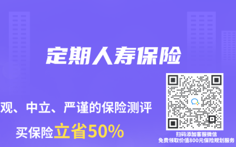 定期人寿保险