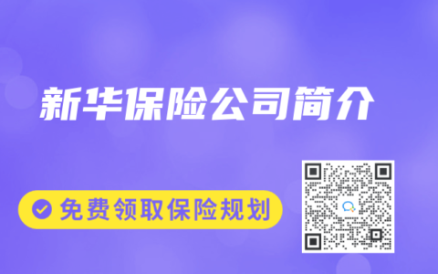 新华保险公司简介