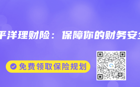 太平洋理财险：保障你的财务安全