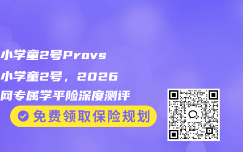 人保小学童2号Provs平安小学童2号，2026互联网专属学平险深度测评