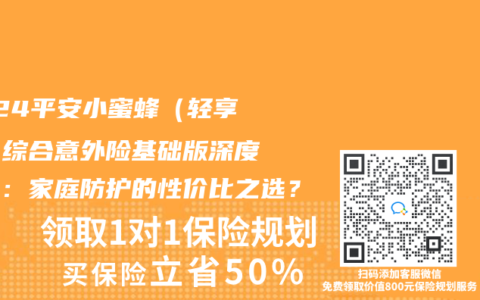 2024平安小蜜蜂（轻享版）综合意外险基础版深度测评：家庭防护的性价比之选？