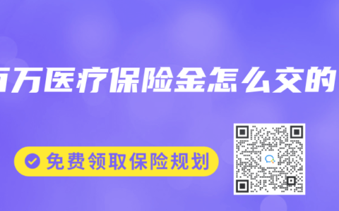 百万医疗保险金怎么交的缩略图 百万医疗保险金怎么交的