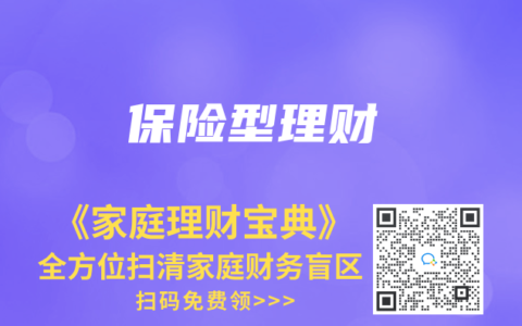 保险型理财
