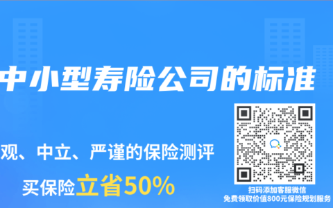 中小型寿险公司的标准