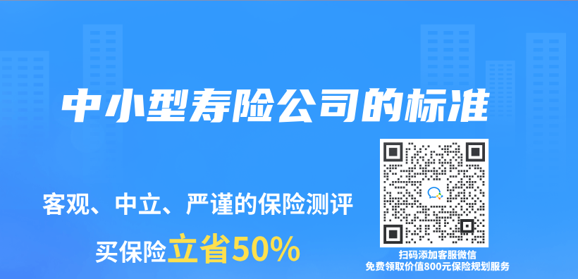 中小型寿险公司的标准插图