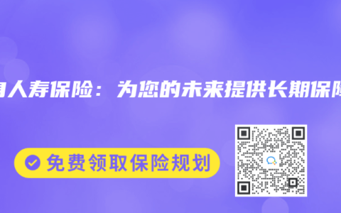 终身人寿保险：为您的未来提供长期保障