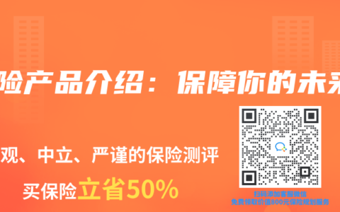 保险产品介绍：保障你的未来