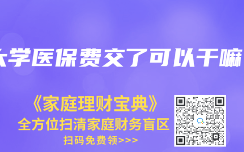 大学医保费交了可以干嘛