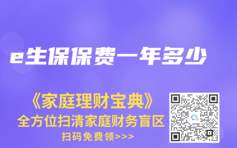 e生保保费一年多少