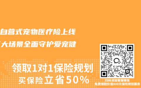 京东自营式宠物医疗险上线，三大场景全面守护爱宠健康