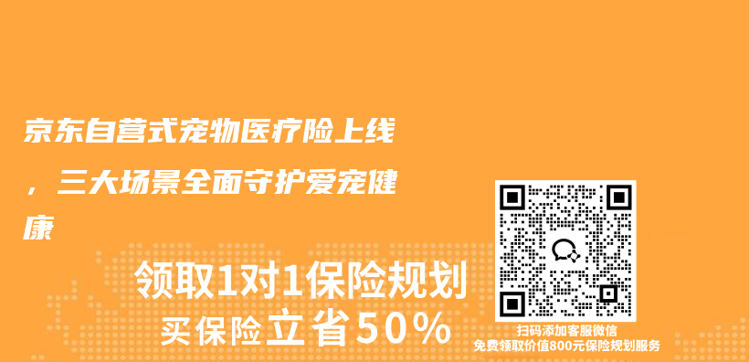 京东自营式宠物医疗险上线，三大场景全面守护爱宠健康插图