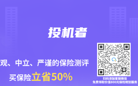 保险专业术语解读：投机者