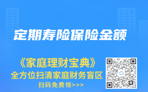定期寿险保险金额
