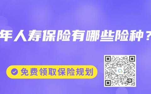 中年人寿保险有哪些险种？