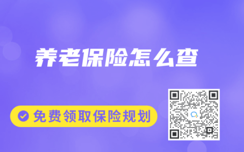 养老保险怎么查