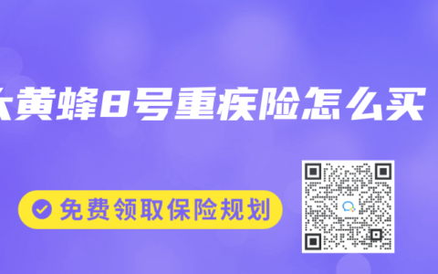 大黄蜂8号重疾险怎么买
