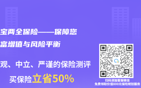 稳利宝两全保险——保障您的财富增值与风险平衡