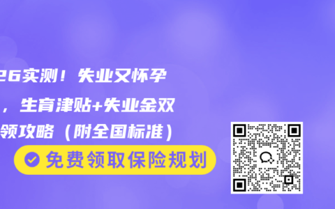 2026实测！失业又怀孕别慌，生育津贴+失业金双重申领攻略（附全国标准）