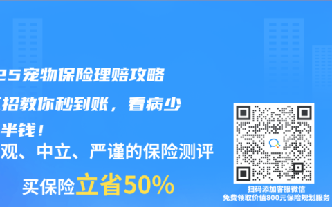 2025宠物保险理赔攻略：三招教你秒到账，看病少花一半钱！