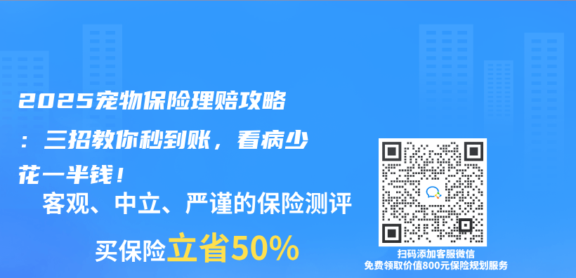2025宠物保险理赔攻略：三招教你秒到账，看病少花一半钱！插图