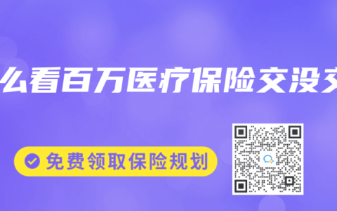 怎么看百万医疗保险交没交