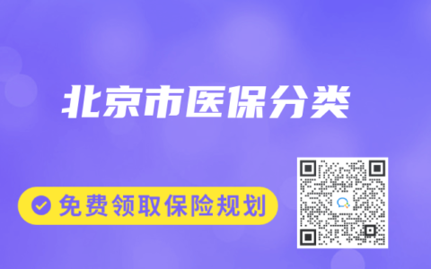 北京市医保分类