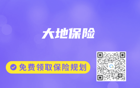 大地保险