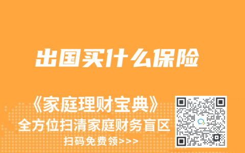 出国买什么保险