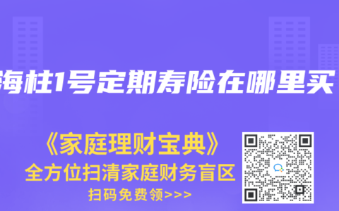 定海柱1号定期寿险在哪里买