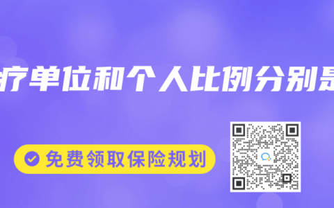医疗单位和个人比例分别是