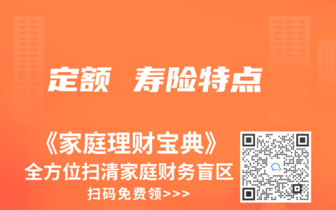 定额 寿险特点