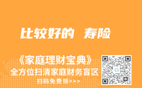 比较好的 寿险
